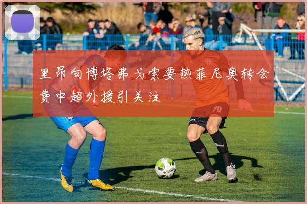 里昂向博塔弗戈索要热菲尼奥转会费中超外援引关注